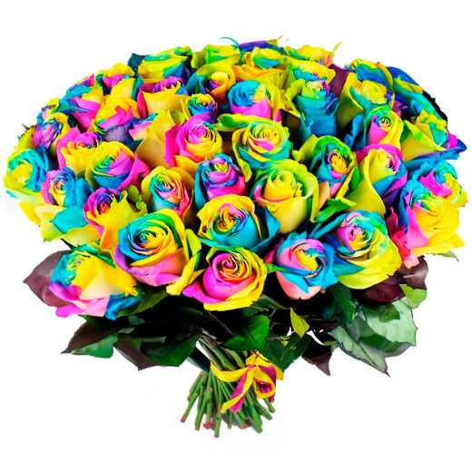 Эквадорская роза радужная