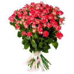 Кустовая роза красно-белая