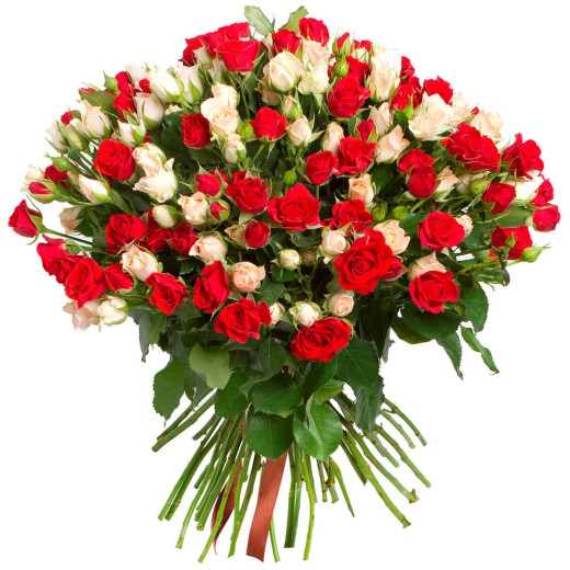 Кустовая роза ассорти из красной и белой