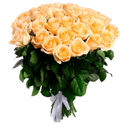 Российская роза кремовая