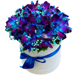 Цветы в цилиндрической коробке «Синий дендробиум»