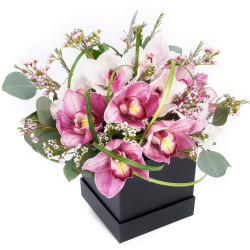 Цветы в коробке «Ночное сияние»