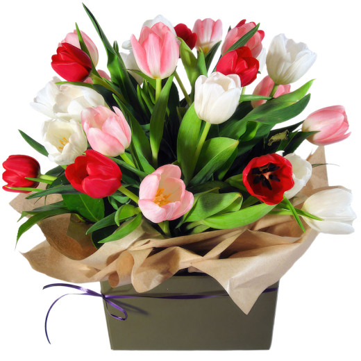 Тюльпаны в коробочке «Гармония природы»