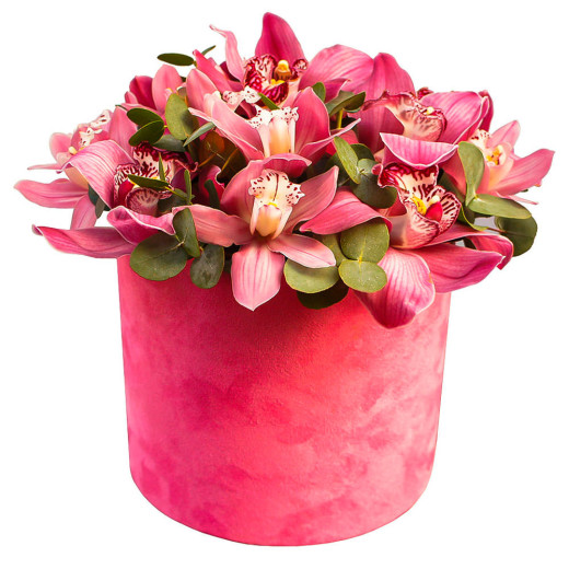 Шляпная коробка с орхидеями «Сафари»