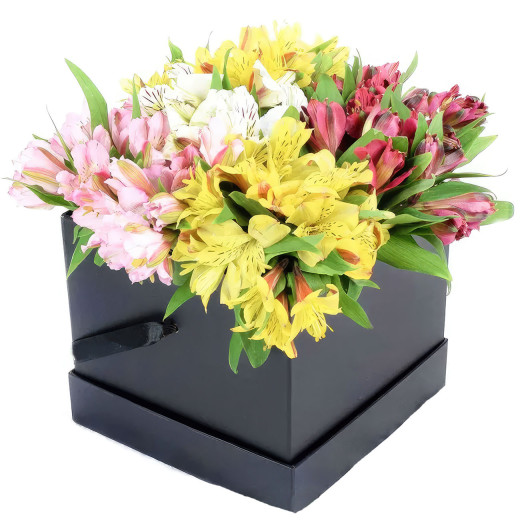 Живые цветы в шляпной коробке «Яркий вихрь»