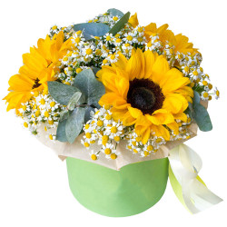 Коробка с живыми цветами «Подсолнуховая радость»