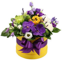 Цветы в коробке «Блеск»