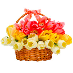 Тюльпаны в корзине «Весеннее тепло»