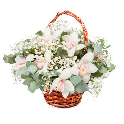 Корзина с орхидеей и гипсофилой «Букет мечты»