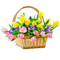 Корзинка с тюльпанами «Радость»