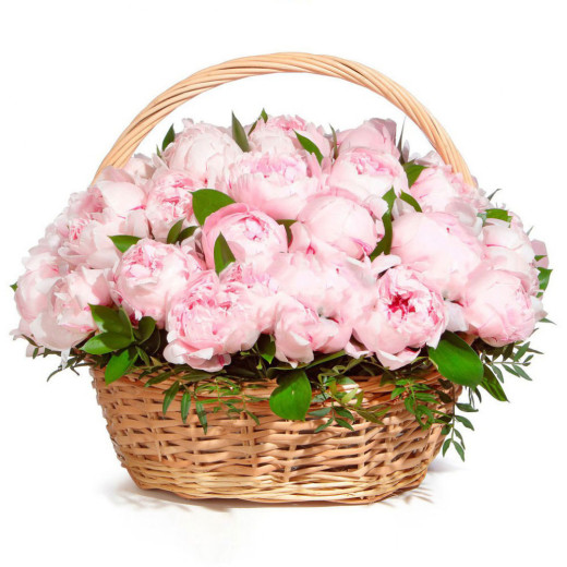Шикарная корзина с пионами «Мечта»