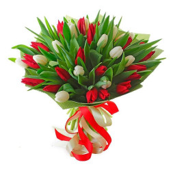 Тюльпан ассорти из белого и красного