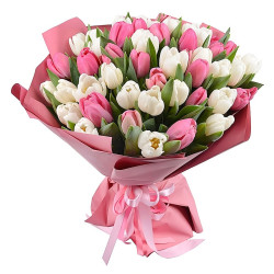 Тюльпан ассорти из белого и розового