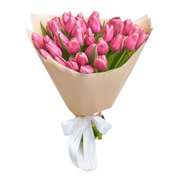 Тюльпан розовый