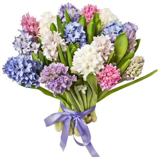 Гиацинт ассорти из белого, розового, синего и сиреневого